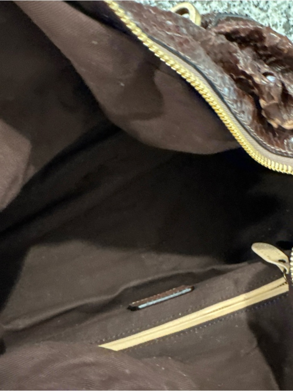 Chloe Brown Python-Textured Hobo with Gold Hardware - Picture 11 of 15